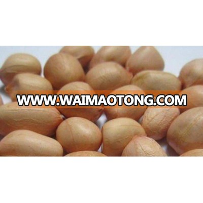 BEST QUALITY JAVA PEANUT KERNEL 60/70 SUPPLIER